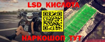 мяу мяу мука Камышлов