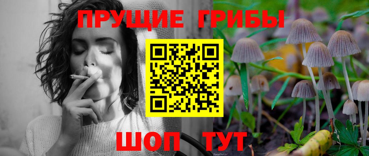 Псилоцибиновые грибы мицелий  Вход с VPN  Красный Сулин  купить закладку  Псилоцибиновые грибы MAGIC MUSHROOMS 